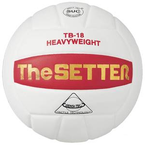 lot 2123 image: Tachikara Tb-18 The Setter Weighted Training Volleyball