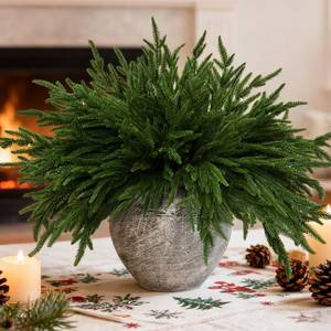 lot 6157 image: 16 PCS 18 Inches Artificial Christmas Norfolk Pine Branch, Natural Touch Norfolk Faux Greenery Pine Stems, Fake Norfolk Picks Christmas Decoratoins for Vase DIY Garland Wreath Xmas Indoor Home Decor