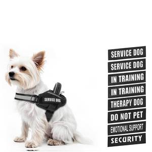 lot 6305 image: Dog Vest Harness and Patches Set, Animire in Training Service Dog Harness with 10 Dog Patches, Reflective Dog Vest with Handle for Small, Medium, Large, and Extra-Large Dogs