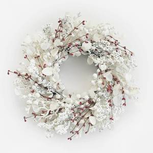 lot 13202 image: 24 inch Winter Wreath for Front Door,Christmas Wreaths Front Door with White Eucalyptus Leaves and White Red Berry OutdoorIndoor Wall Window Thanksgiving D�cor Fireplace Christmas Decorations