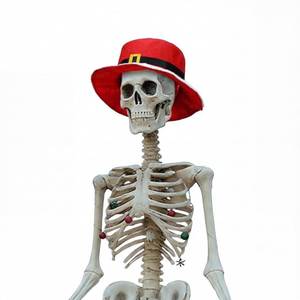 lot 14332 image: Geyoga 12ft Skeleton Outfit Christmas 12 Foot Skeleton Accessories 12 feet Large Skull Costume Giant skeleton Cowboy Felt Hat for Christmas Party Garden Outdoor Decor