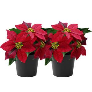 lot 3800 image: WOBUBU Mini Poinsettias Artificial Plants 2 Pack 9 Faux Small Christmas Flowers in Pot for Home Office Tabletop Indoor Christmas Decorations Hot Red