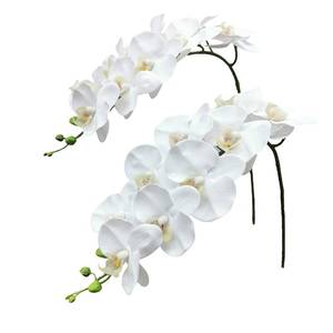 lot 3808 image: Fnize Orchid Stems Artificial Flowers Real Touch Latex Faux Phalaenopsis Branches 9 Large Blooms 38 Inches 2pcs White