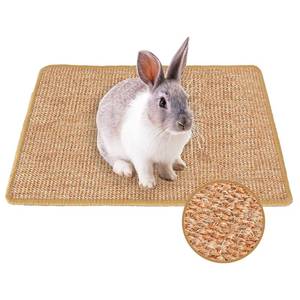 lot 4191 image: Mooydee Rabbit Scratching Pad, 16 x 12 Inch Natural Sisal Bunny Scratch Mat Scratcher Mats Claws and Teeth Care for Biting Sleeping Nesting Small Animal Bedding Chew Toys Bed Play Toy (Brown, 1Pc)