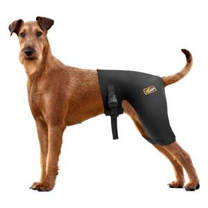lot 6133 image: Dog Hip Brace with HotCold Compress, Support for Hip Dysplasia, Arthritis, Back Leg limping, Prevents Hip Joint Issues, Reduce Hip Pain etc(Female Dog, L)