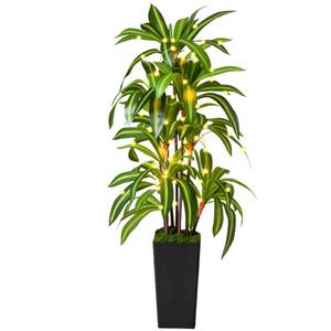 lot 3897 image: Artificial Dracaena Tree with Lights, 5Ft Fake Plants with Black Tall Planter - Fake Tree Tall Faux Plants Indoor Floor Plant with Moss - Artificial Plants Indoor for Office Living Room Home Decor