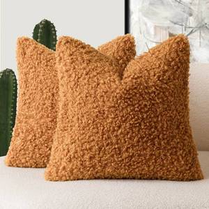 lot 6281 image: Foindtower 2 Pieces 20x20 Inch Orange, Faux Fur Throw Pillow Cover Accent Sherpa Furry Pillow Covers Fuzzy Soft Pillowcases Cozy Sheepskin Decorative Fleece Cushion Case for Bed Couch Living Room