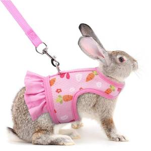 lot 6382 image: Rabbit Harness and Leash, Escape Proof Bunny Harness and Leash Set, Cute Bunnies Vest Clothes Stuff Walking Accessories Ferret Kitten Puppy Small Pet Animals, Pink S