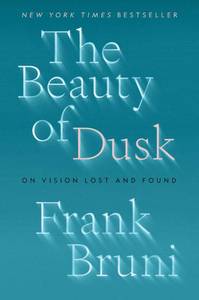 lot 8300 image: The Beauty of Dusk On Vision Lost and Found