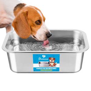 lot 16348 image: Stainless Steel Dog Water Bowl 1.25 Gallons Metal Pet Water & Food Bowl No Spilling - High Capacity Dog Bowls for Medium, Larges, X-Large Dogs