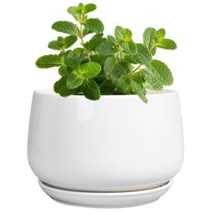 lot 4078 image: G EPGardening Ceramic Plants Pots - 4 inch Succulent Pots for Indoor Outdoor, Small Planter with Drainage Hole & Saucer, Round Planter, Modern Flower Pot, Office Decor, Plant Lovers Gifts, White