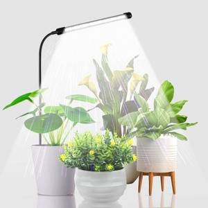 lot 4080 image: Juhefa Grow Light for Indoor Plants Growing, 6000K Full Spectrum Gooseneck Plant Lamp for Seedings Succulents Small Plants, Auto OnOff Timing & 5 Dimming, 1-Pack