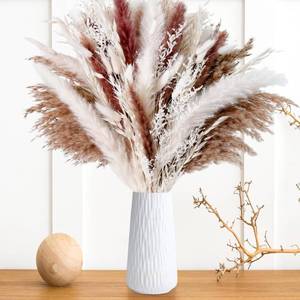 lot 4102 image: 85PCS Dried Pampas Grass Boho Decor, 17 Natural White Dried Flowers Pampas Grass Bouquet, Bunny Tails, Oat Stems & Aquatic Grass for Neutral Home Decor, Wedding, Minimalist Vase Arrangement