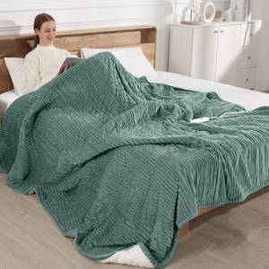 lot 15600 image: Electric Blanket Queen Heated Blanket Queen Size 84x90 Dual Control Electric Blanket, 5 Heat Settings & 10 Hour Auto Off with FCCETL Certified, Overheat Protection & Machine Washable, Teal