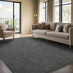 lot 15607 image: Rtizon Area Rug for Living Room, Non-Slip Rugs for Boyss Bedroom, 4x6Ft Washable Carpet with Memory Foam for Bedside Office Dorm Entryway Hallway,Black and White