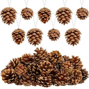 lot 4210 image: Fovths 30 Pieces 2 Size Christmas Pine Cones with String Mini Rustic Pinecones Bulk Ornaments for Xmas Tree Crafts Holiday Home Hanging Ornament Party Favor Fireplace Table Centerpiece, Natural