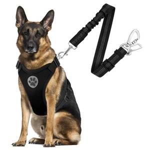 lot 6096 image: SlowTon Dog Seat Belt Harness for Car, Dog Car Harness Adjustable Mesh Breathable & Dog Seatbelt Safety Tether with Elastic Bungee for Small Medium Large Pets(Black, Double Clip, L)