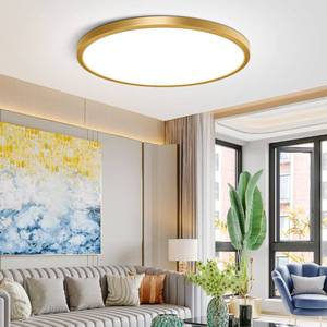 lot 14060 image: 12Inch Flush Mount Ceiling Light Fixture LED, 24W(240W Equivalent), 3200LM, 5000K Daylight White, IP40, Flat Modern Round Ceiling Lights for Bedrooms, Living Rooms, Bathrooms, Stairwells, etc.(Gold)