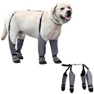 lot 6057 image: Becemuru Dog Walking Boots Set