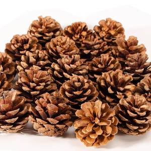 lot 2012 image: 24PCS Christmas Natural Pine Cones,Rustic Pinecones with String for Crafts & Decorating Winter Xmax Holidays Vase and Table Bowl Fillers(Dia. 1.57-1.96 Inches)