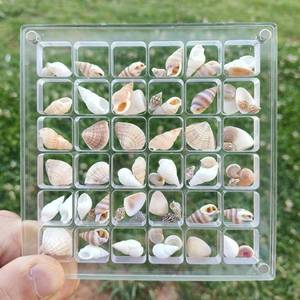 lot 6247 image: FUFenZHEN Seashell Display Box, 32 Grids Acrylic Magnetic Seashell Display Collecting Box, Transparent Seashell Storage Cases for Shell, Bead, Jewelry (M-32 Cells, Rectangular) four pack