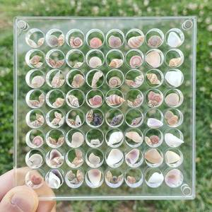 lot 14146 image: FUFenZHEN Seashell Display Box, 64 Grids Acrylic Magnetic Collecting Box, Transparent Storage Case for Shells, Beads, Jewelry (L-64 Cells, Round) (5pk)