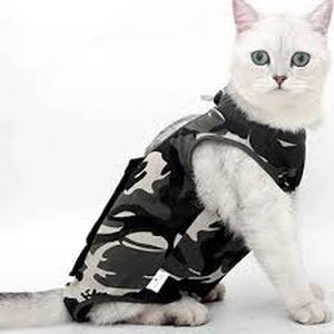 lot 14162 image: Cat Recovery Suit Post Surgery Wear