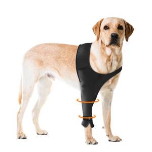 lot 14257 image: Pawfun Dog Recovery Sleeve for Front Leg�� Single Dog Leg Sleeve to Stop Licking�� Breathable Protection for Joint Pain, Elbow Injuries, Hot Spots, Surgery, Wound Care as Cone Alternative(Right,L)