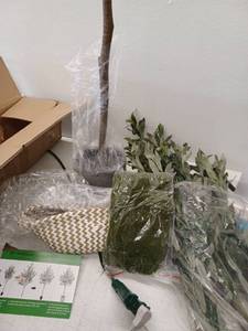 lot 23315 image: Artificial Olive Tree DIY Kit