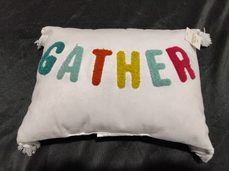 lot 3567032 image: Gather Pillow - Bullseyes Playground�� - Retail $5