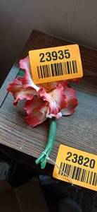 lot 23935 image: Capodimonte Porcelain Decorative Flower Piece