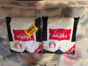 lot 24293 image: Brand New in Package Hanes V-Neck T-Shirts Size L