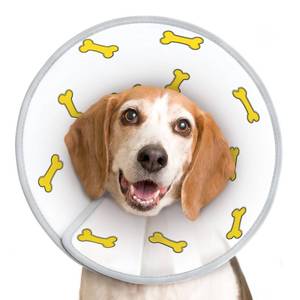 lot 54192 image: Supet Dog Cone Collar After Surgery to Stop Licking Adjustable Recovery Elizabeth Collar Alternative for Large Medium Small Dogs, Plastic Pet Head Neck Cone (XS)