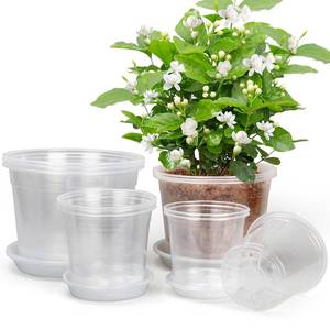 lot 55444 image: RAOOKIF 10865 Inch Nursery Pots with Saucers, 12 Pack Clear Nursery Pots with Drainage Hole for Indoor Outdoor, Plastic Clear Pots for Plants for Flowers, Succulents, Small Herbs