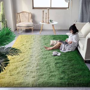 lot 301228 image: DweIke Luxury Fluffy Kids Rugs for Living Room Bedroom, 4x6 Feet Shaggy Green and Yellow Area Rug for Girls Boys, Upgrade Plush Non-Slip and Washable Colorful Fuzzy Carpet for Dorm Nursery Decor