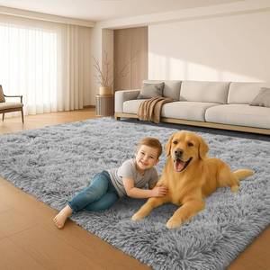 lot 301258 image: Fluffy Plush Shag Rug 5x7,Ultra Soft Rug for Living Room,Non-Slip Fuzzy Rugs for Bedroom,Carpet for Girl Boy Kids,Modern Indoor Home Decor Aesthetic,Light Gray