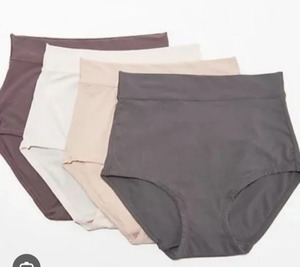 lot 1311 image: Breezies Infinite Stretch Modern Brief Set of 4 Neutral, Size IX