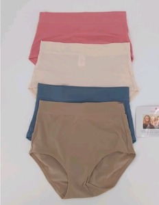 lot 1313 image: Breezies Infinite Stretch Modern Brief Set of 4 Sweet Coral, Size 1X