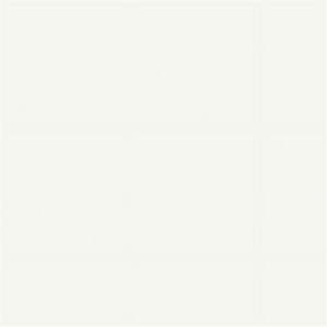 lot 28981 image: Pacon 1506511 9 x 12 in. Heavyweight Construction Paper - White  Pack of 100