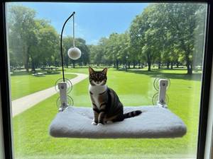 lot 54230 image: iPengYer Cordless Cat Window Perch with Fun Bouncy Ball, 20.47 Foldable Cat Hammock with 4 Strong Suction Cups, Solid Metal Frame & Reversible Cover, Window Bed for Indoor Cats Gray