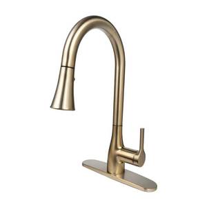 lot 23676 image: Flow Classic Single-Handle Pull-Down Sprayer Kitchen Faucet in Champagne Gold