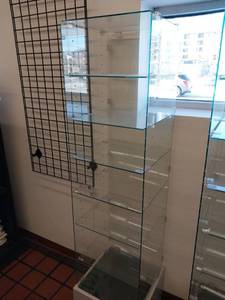 lot 66498 image: Glass Display Cabinet with Adjustable Shelves (16.75 Wide x 16.5 Deep x 72.5 Tall)  - Retail $250