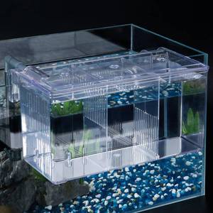 lot 54194 image: Pawfly Aquarium Breeding Box Fish Tank Hatchery Incubator Acrylic Breeder Box for Aggressive Fish Guppy - Retail $20