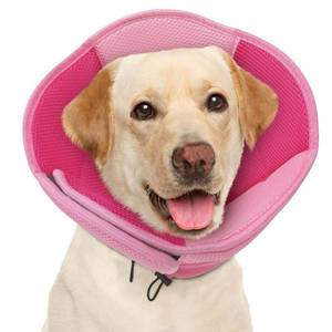 lot 54210 image: AOFITEE Large Dog Cone - Soft Dog Cone Stop Licking, Adjustable Extra Large Cones Dogs for Wound Healing, Pet Elizabethan Cones Collar After Surgery, XL Fabric Pet E-Collar, Pink X-Large - Retail $42