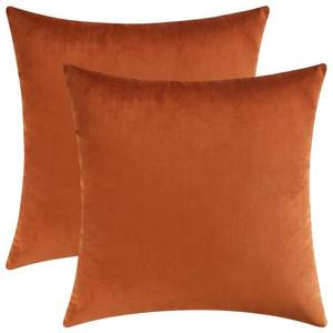 lot 54295 image: Mixhug Set of 2 Cozy Velvet Square Decorative Throw Pillow Covers for Couch and Bed, Burnt Orange, 18 x 18 Inches - Retail $10