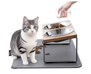 lot 6974 image: Elevated Cat Bowls with Food Mat,15°Tilted Stand Anti Vomiting Raised Cat Dishes for Food and Water,2 Stainless Steel Bowls for Cats and Puppy