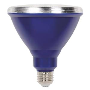 lot 2022 image: Westinghouse Flood Outdoor Weatherproof LED Light Bulb with Medium Base