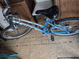 lot 24 image: Next Mountain Bike - Blue and Silver