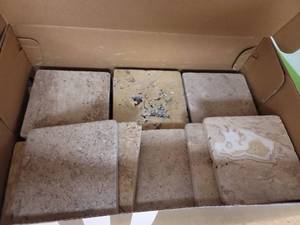 lot 1900 image: Natural Travertine Stone Tiles Set