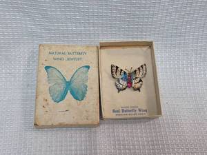 lot 395 image: Natural Butterfly Wing Brooch with Pink Stones